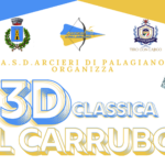 Locandina 3D Classica Il Carrubo
